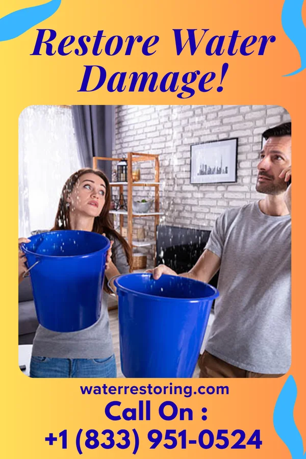 water restoration Zenith Water Removal Contractors Piney View